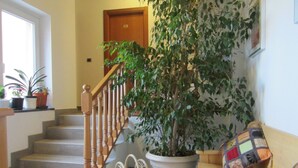 Una escalera con barandillas de madera, una planta en maceta, un banco y una puerta al fondo.