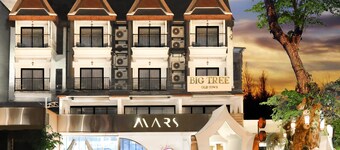 Big Tree Old Town Hotel