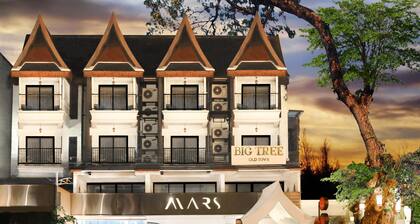 Big Tree Old Town Hotel