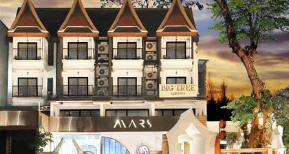 Big Tree Old Town Hotel