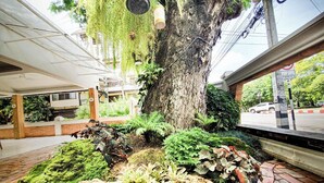 A tree with hanging plants, a paved area with rocks and plants, and a building with a covered walkway. - Big Tree Old Town Hotel (Chiang Mai)