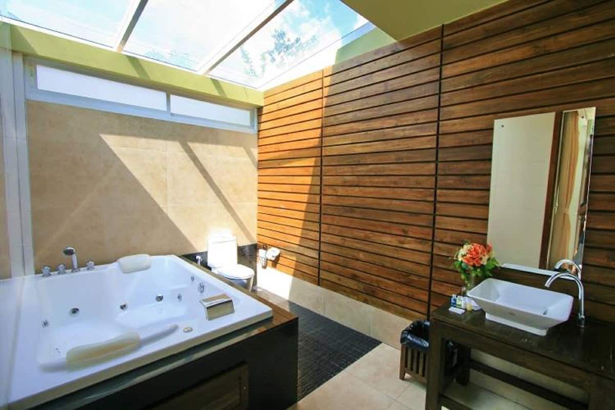 jacuzzi suite | bathroom | shower, free toiletries, hair dryer, bathrobes