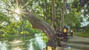A wooden pathway with lanterns, a river, and trees.