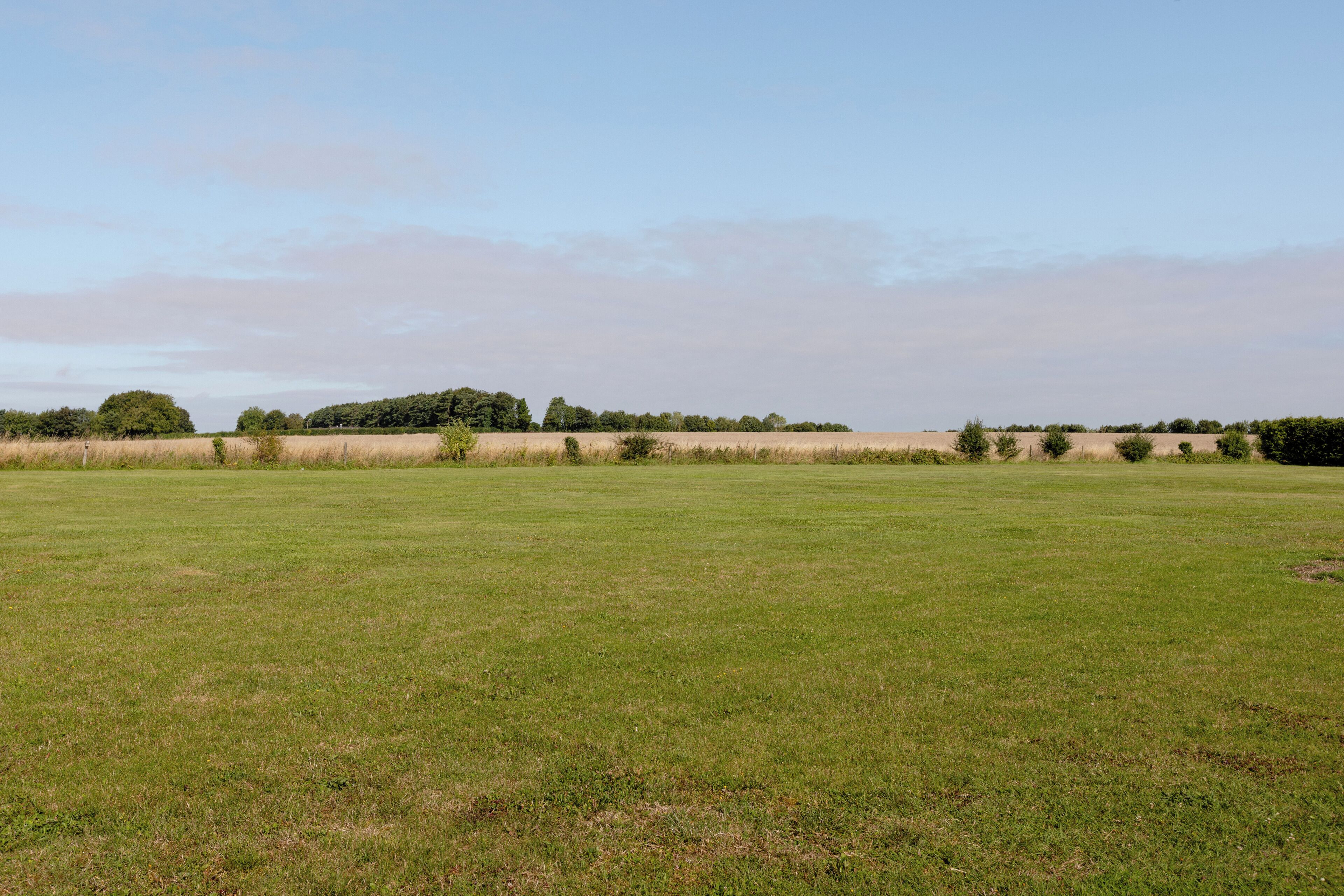 A wide, open grassy field with a line of trees in the distance.