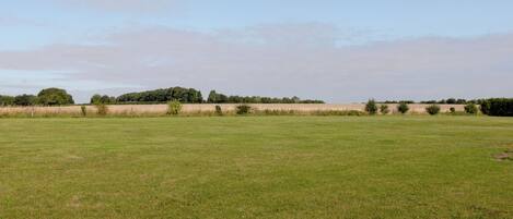 A wide, open grassy field with a line of trees in the distance.