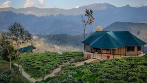 A hillside tea plantation with a single building featuring a green roof and a pathway leading to it.