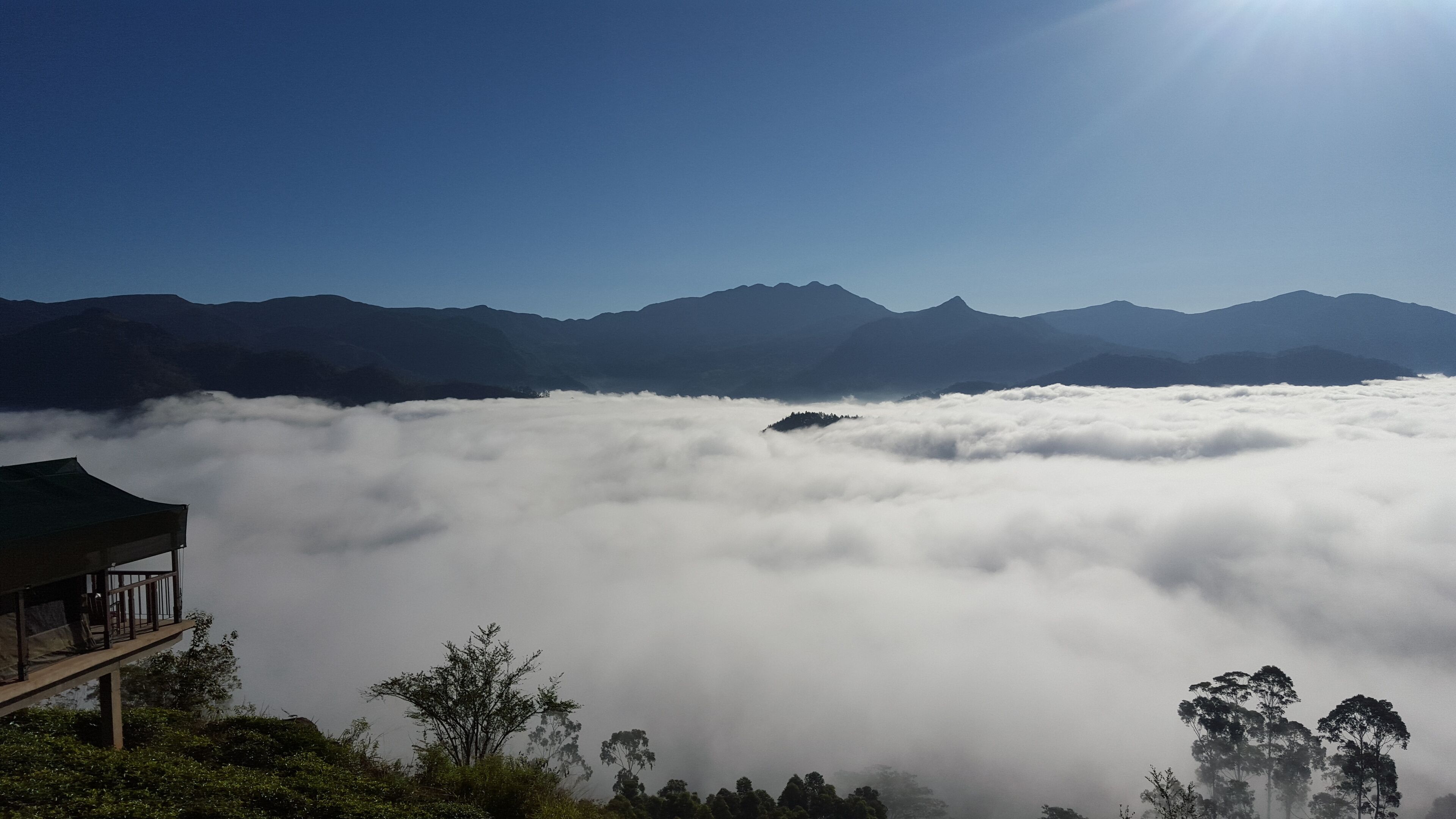 A mountain view with a forested area and a structure with a balcony overlooking the clouds.