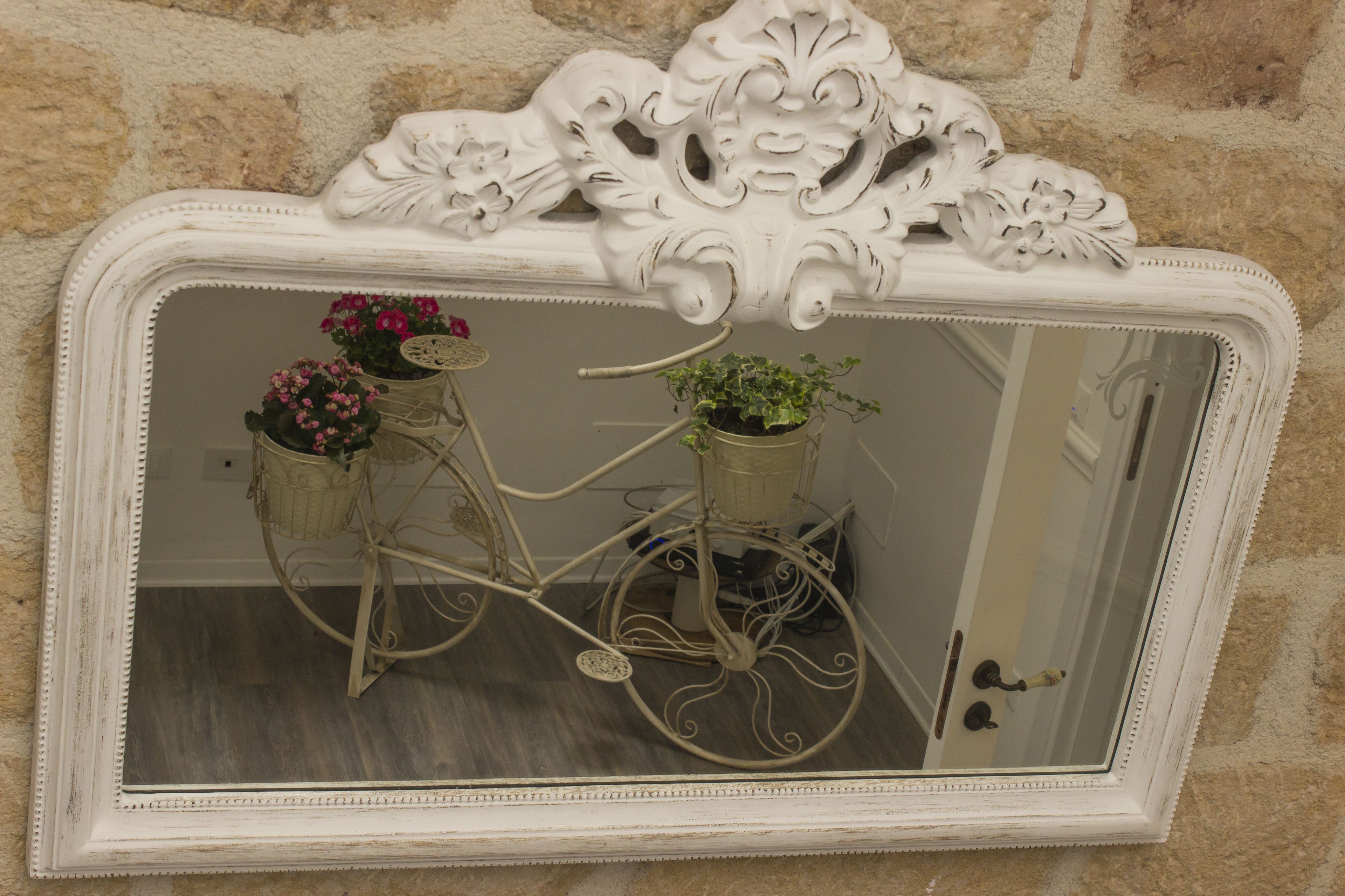 A mirror with an ornate frame reflecting a bicycle with potted plants.