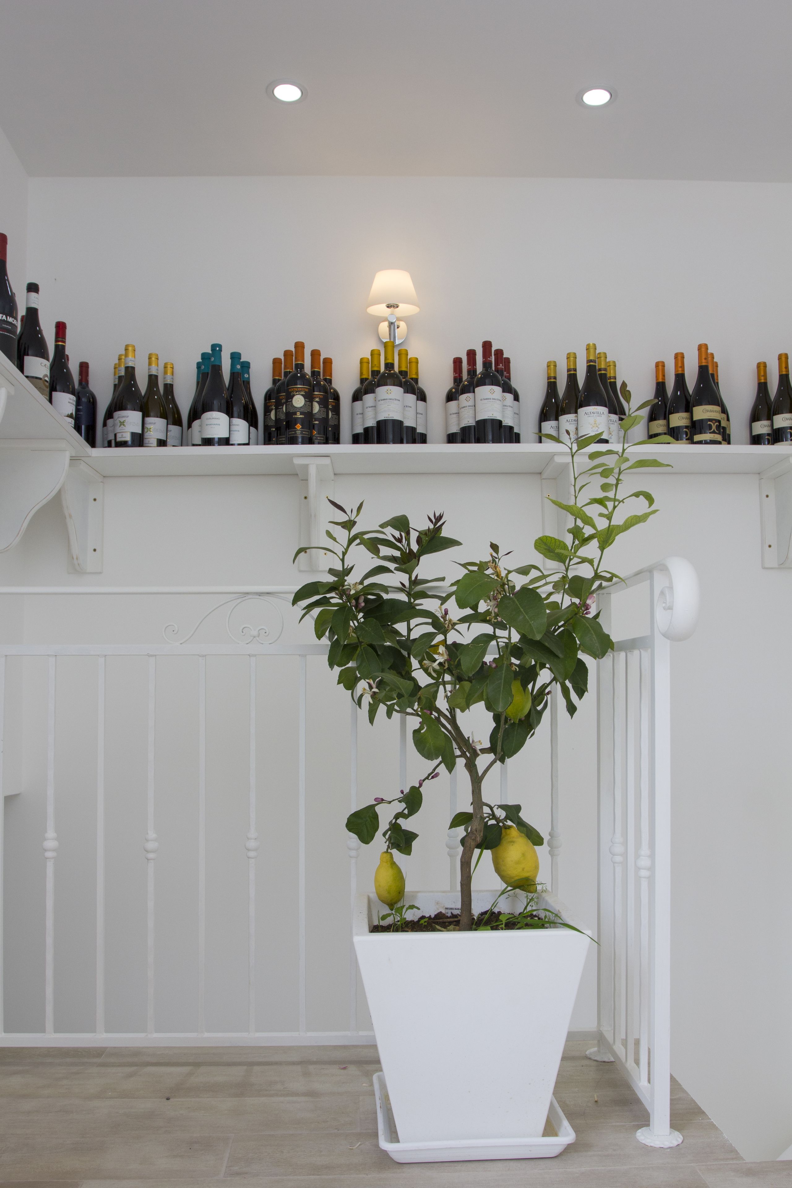 Una estantería para vinos con botellas y una planta en maceta en una habitación blanca.