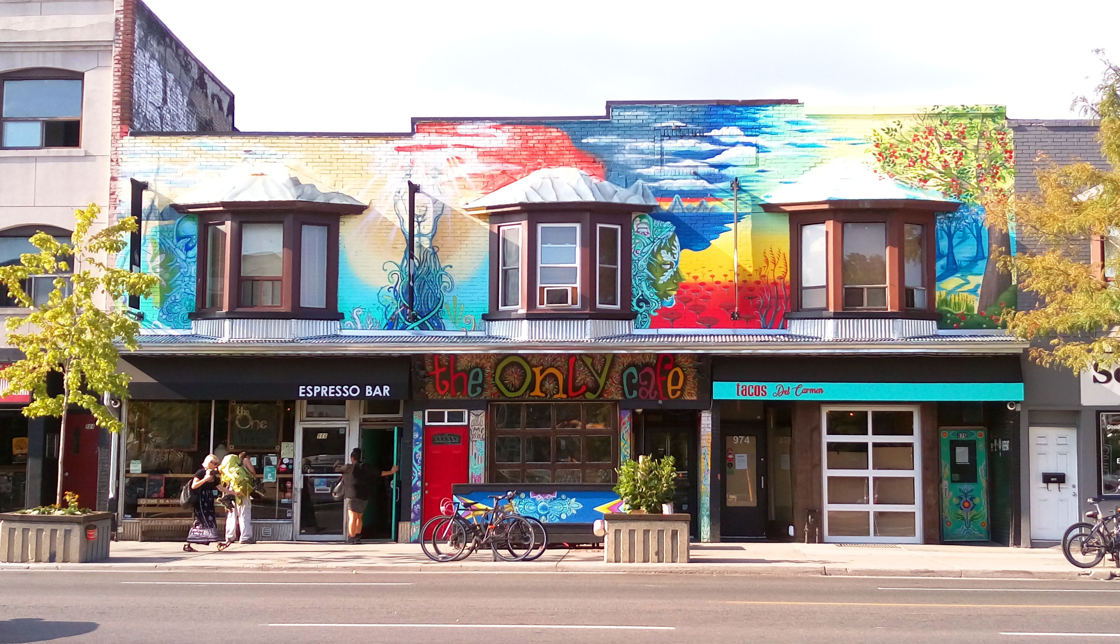 Foto - The Only Backpacker's Inn