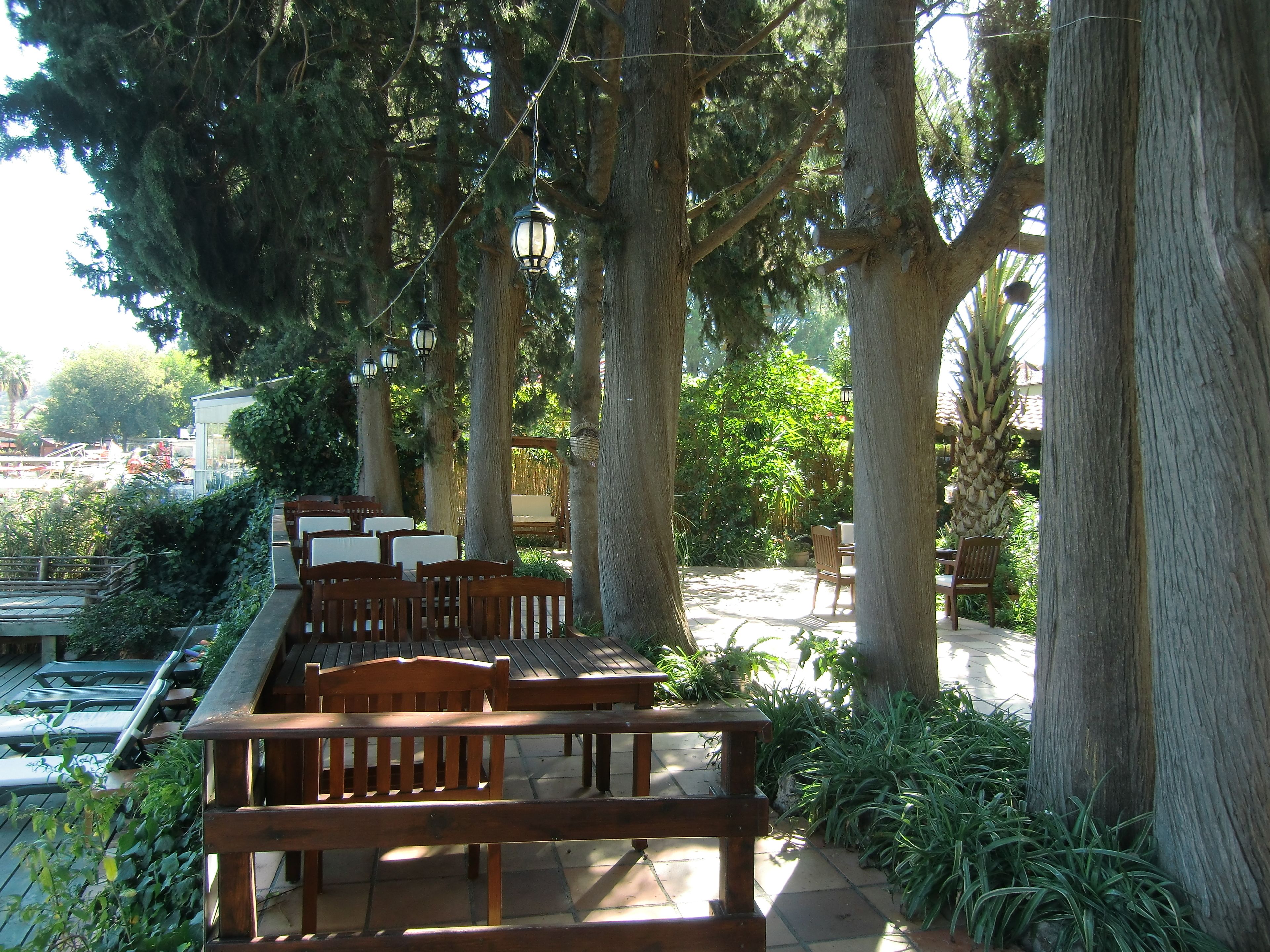 An outdoor seating area with wooden benches and tables, surrounded by large trees and potted plants.