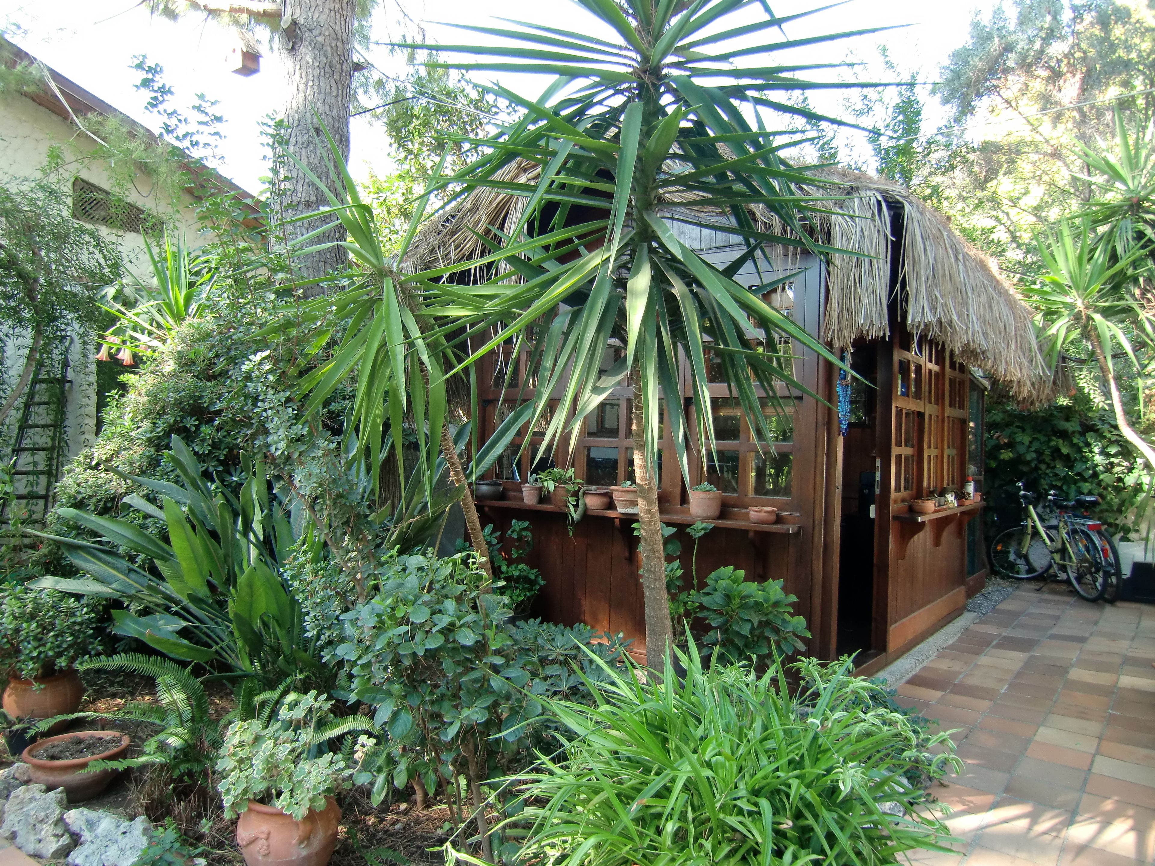 A wooden structure with a thatched roof, surrounded by lush greenery and potted plants.