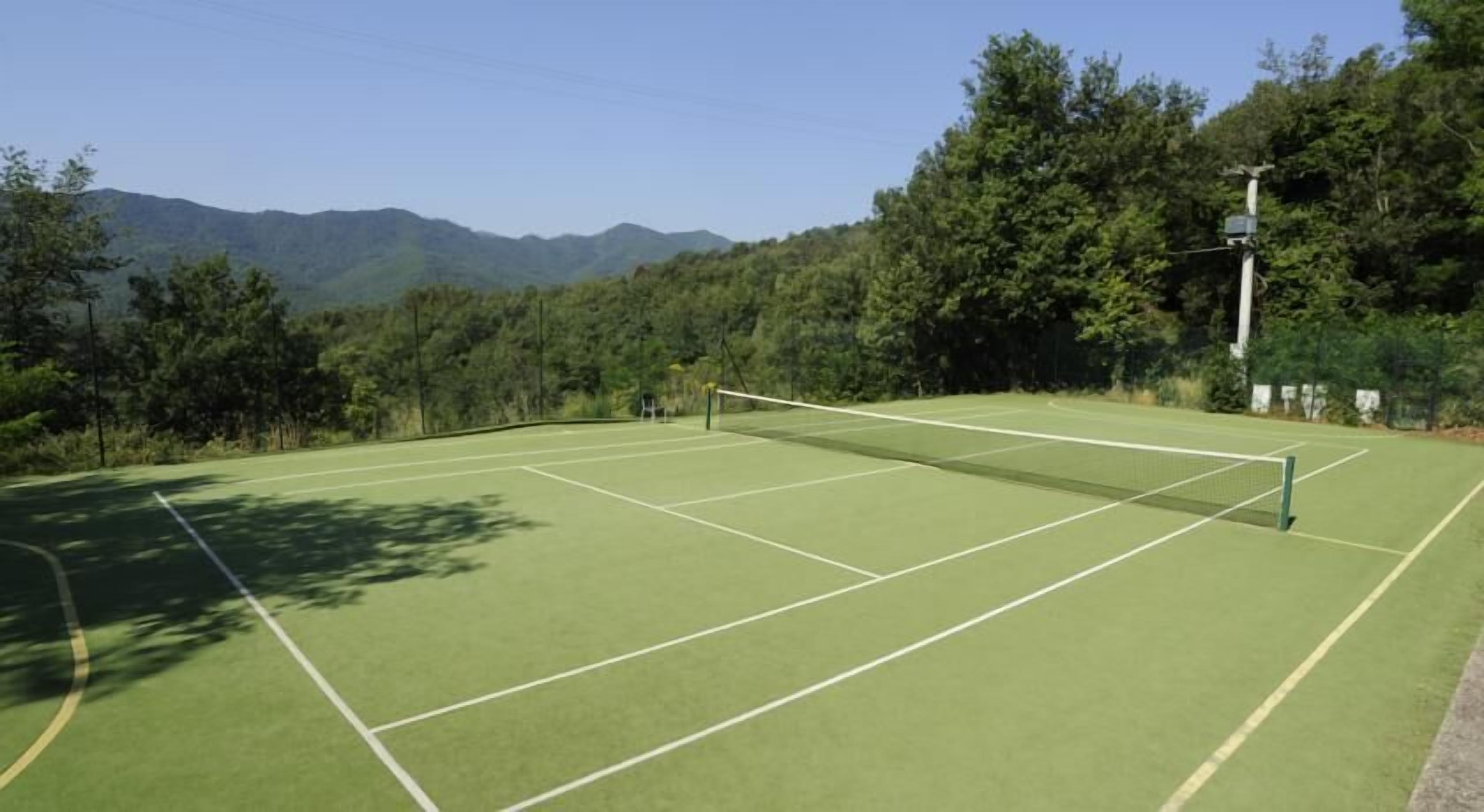 A tennis court with a net, surrounded by trees and mountains in the background.