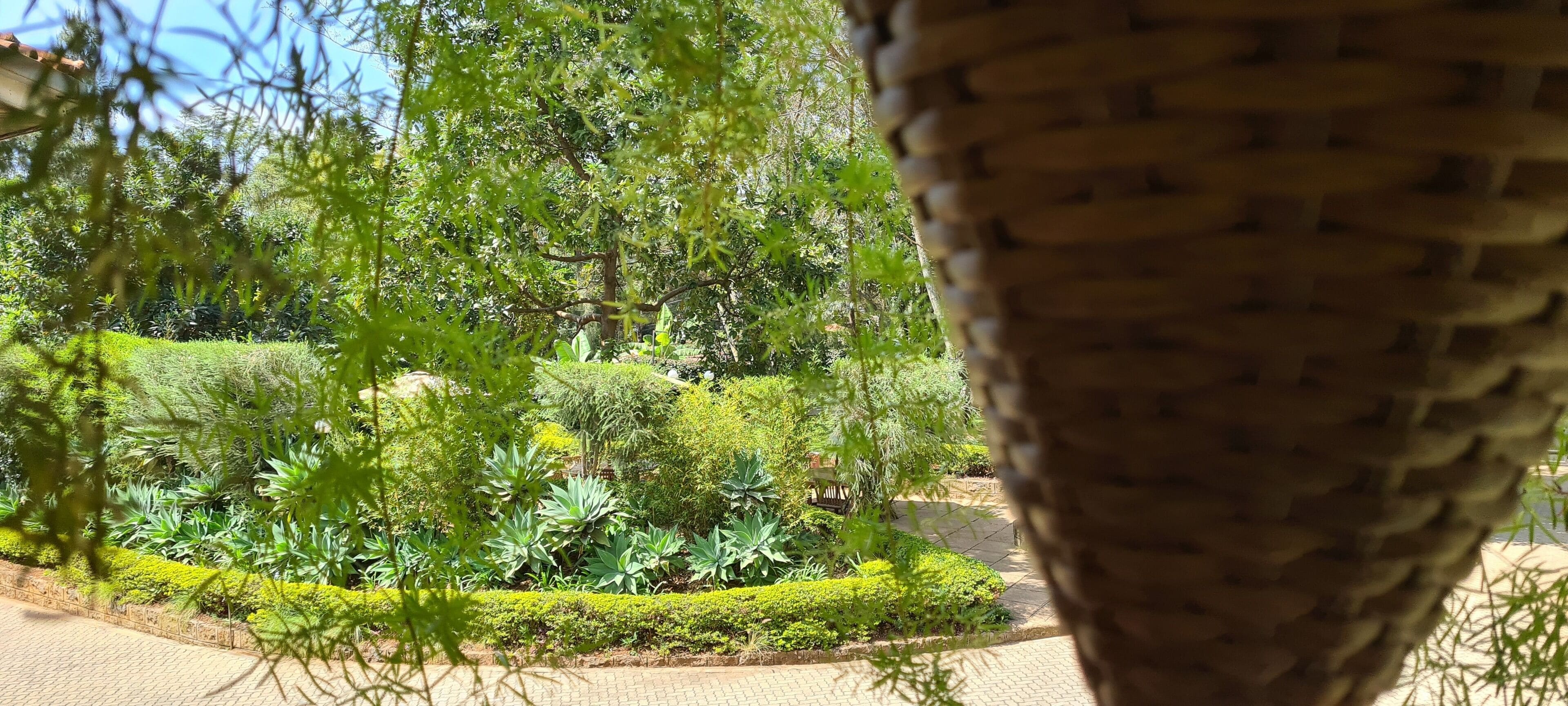 Chambre Double Deluxe, vue jardin | Vue sur le jardin