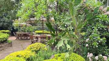 Vue sur le jardin