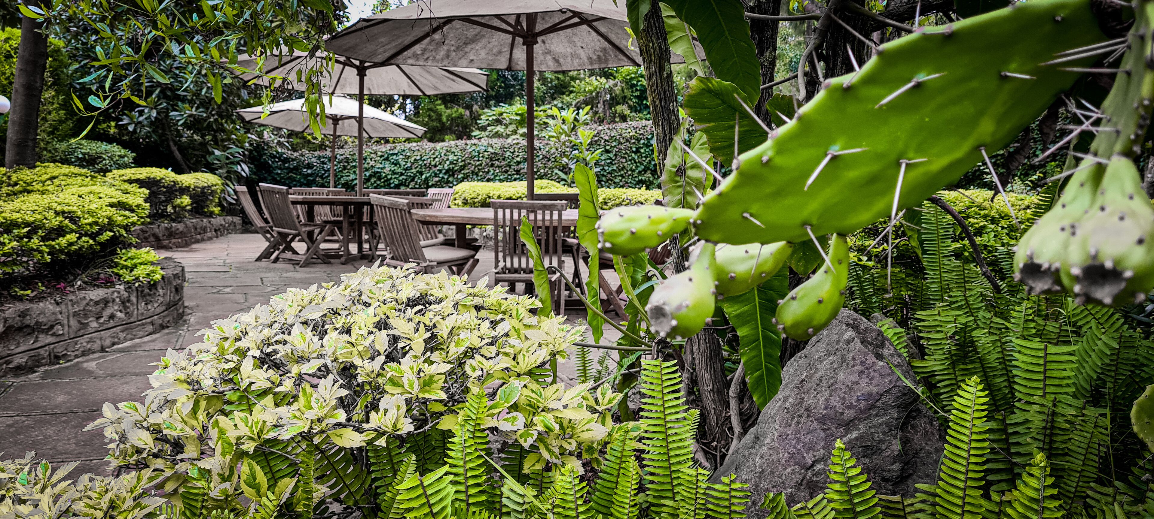Honeymoon tweepersoonskamer, open haard, uitzicht op tuin | Uitzicht op de tuin