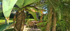 Single Room, Garden View | Garden view