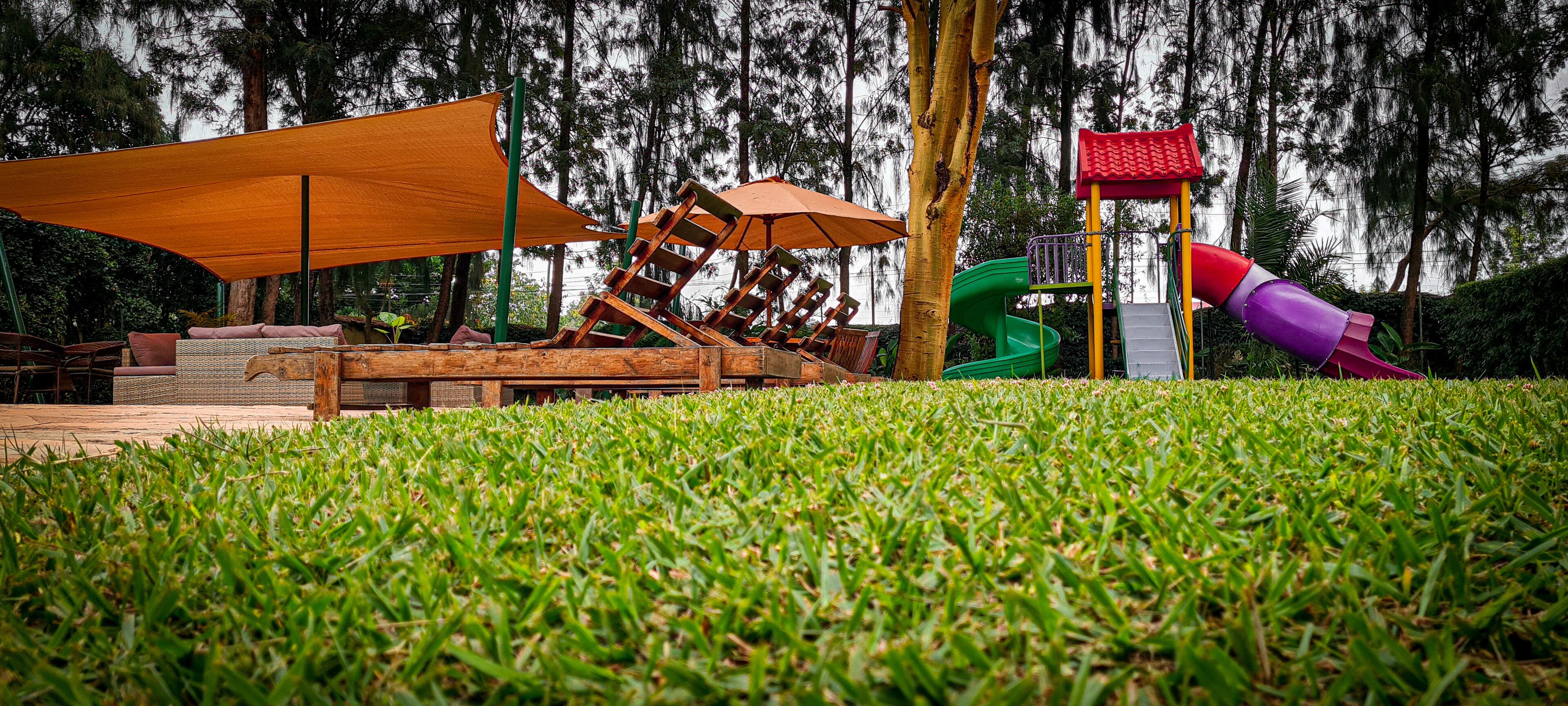 Foto - Margarita House