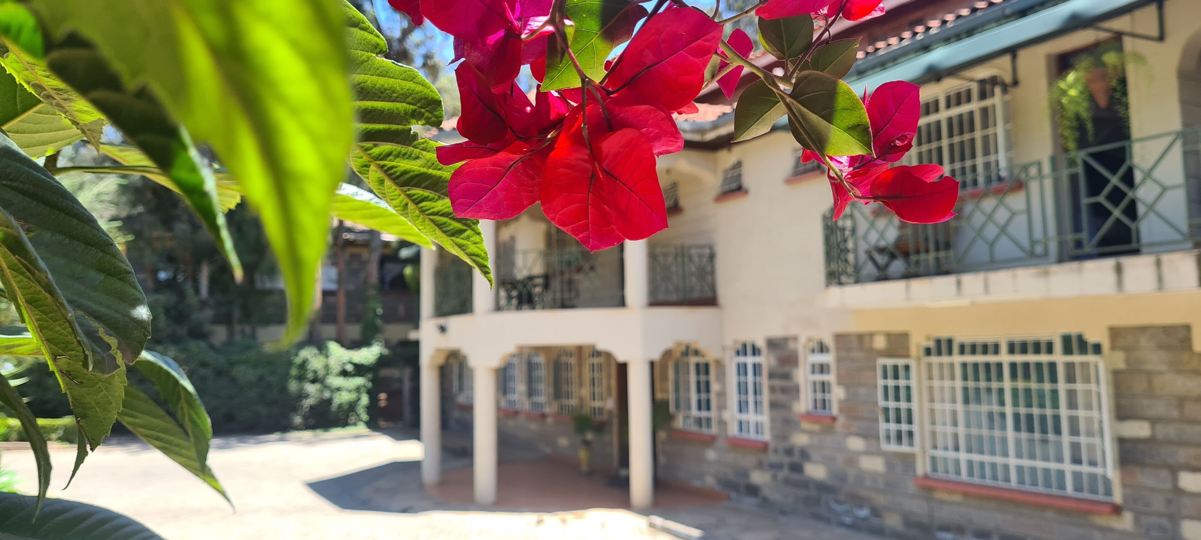 Foto - Margarita House