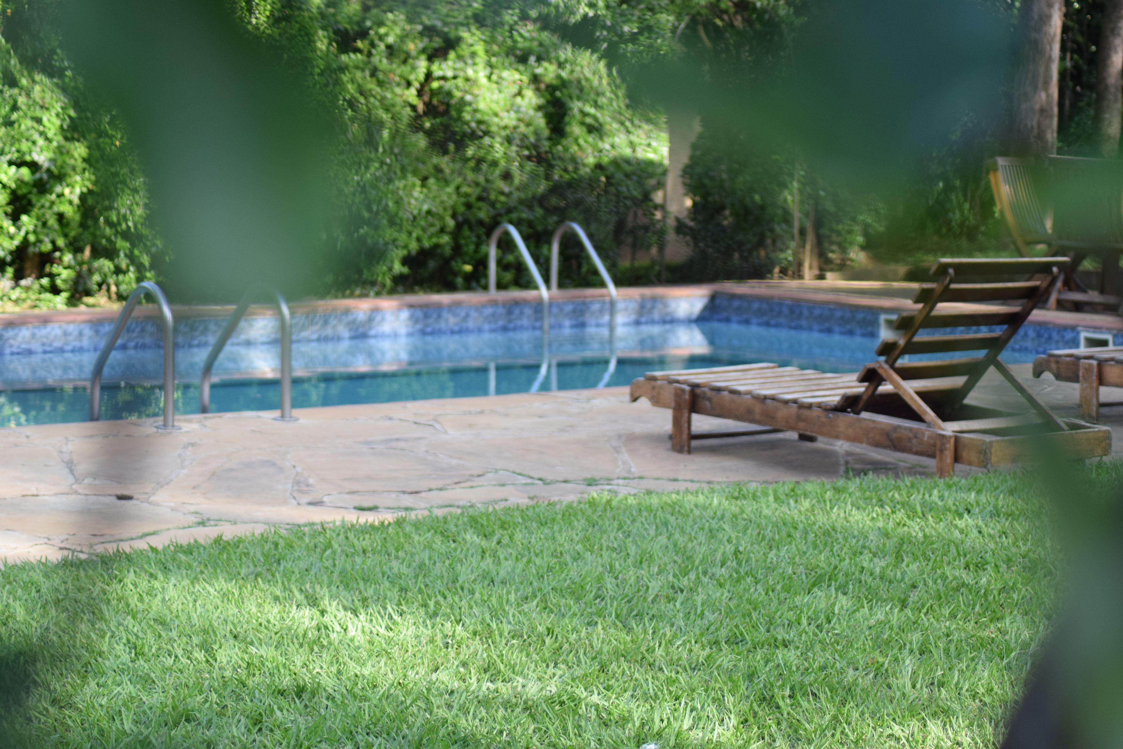 Foto - Margarita House