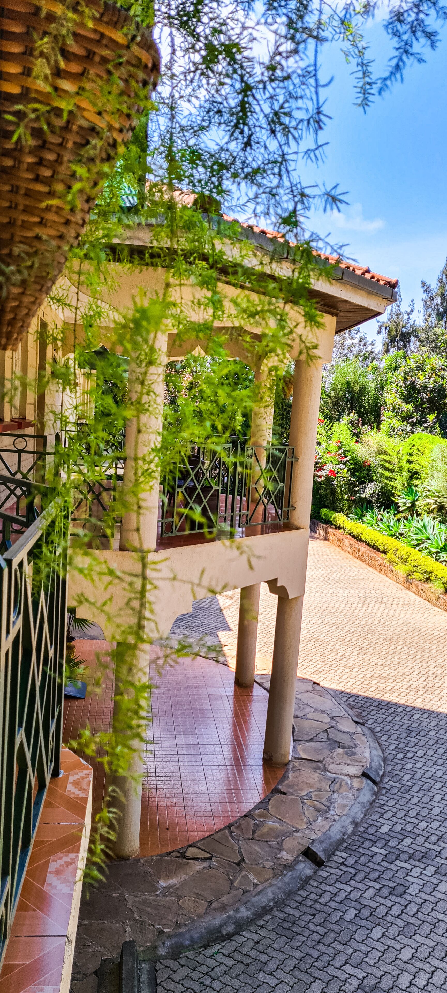 Foto - Margarita House