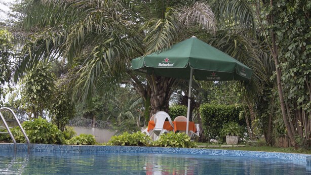 Una piscina con un paraguas de marca Heineken, rodeada de vegetación exuberante y una palmera.