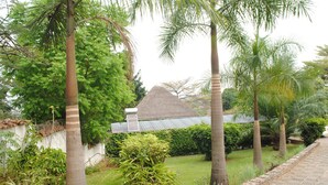 Un jardín con palmeras, una estructura de techo de paja y un camino pavimentado.