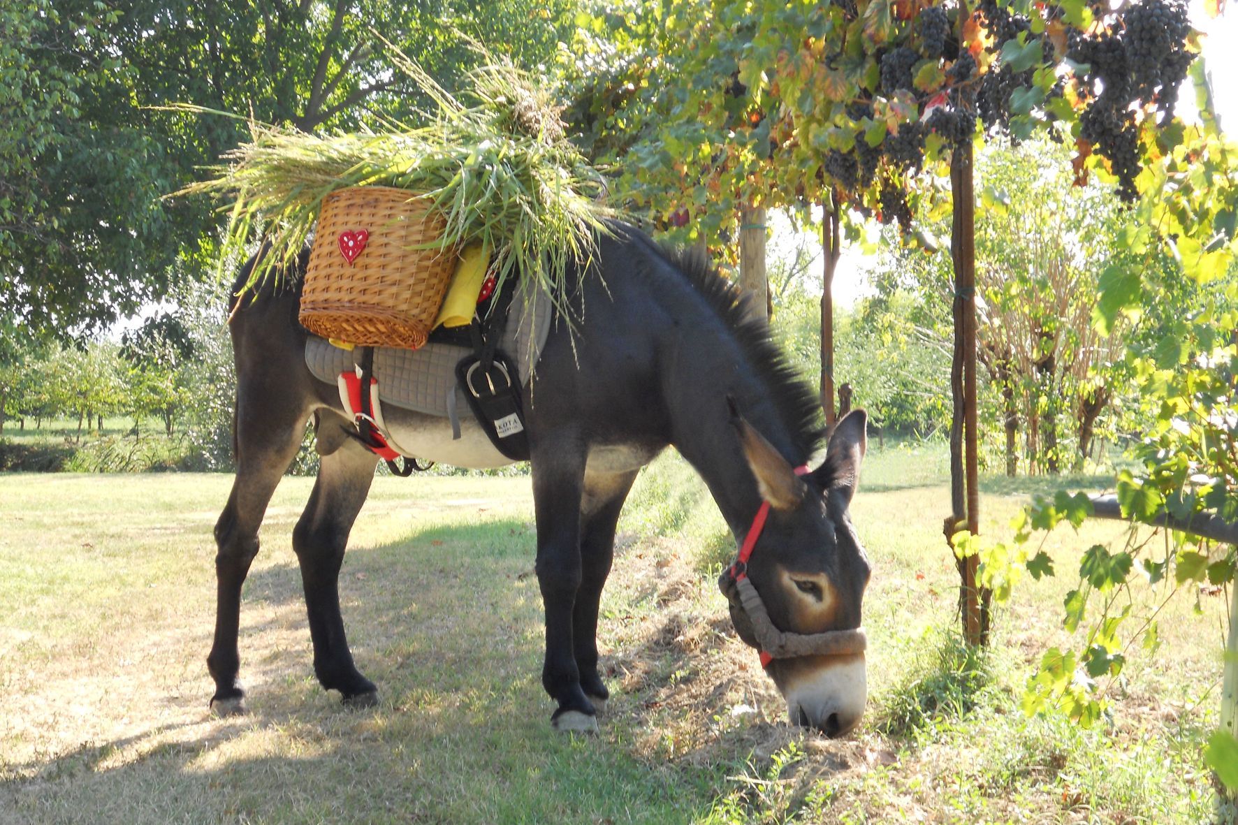 children’s play area – outdoor