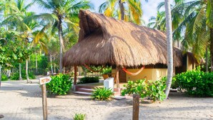A thatched-roof hut with a sign indicating 'MOT TUI' in the foreground, surrounded by lush greenery and palm trees. - Aite Hotel (Dibulla)