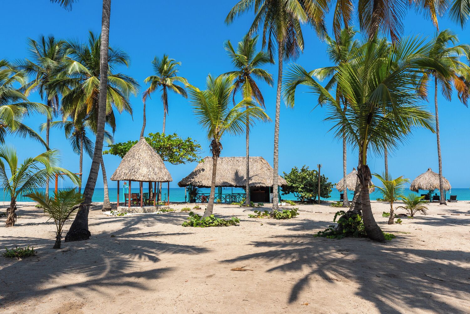 A beach with thatched-roof huts, palm trees, and a clear blue sky.