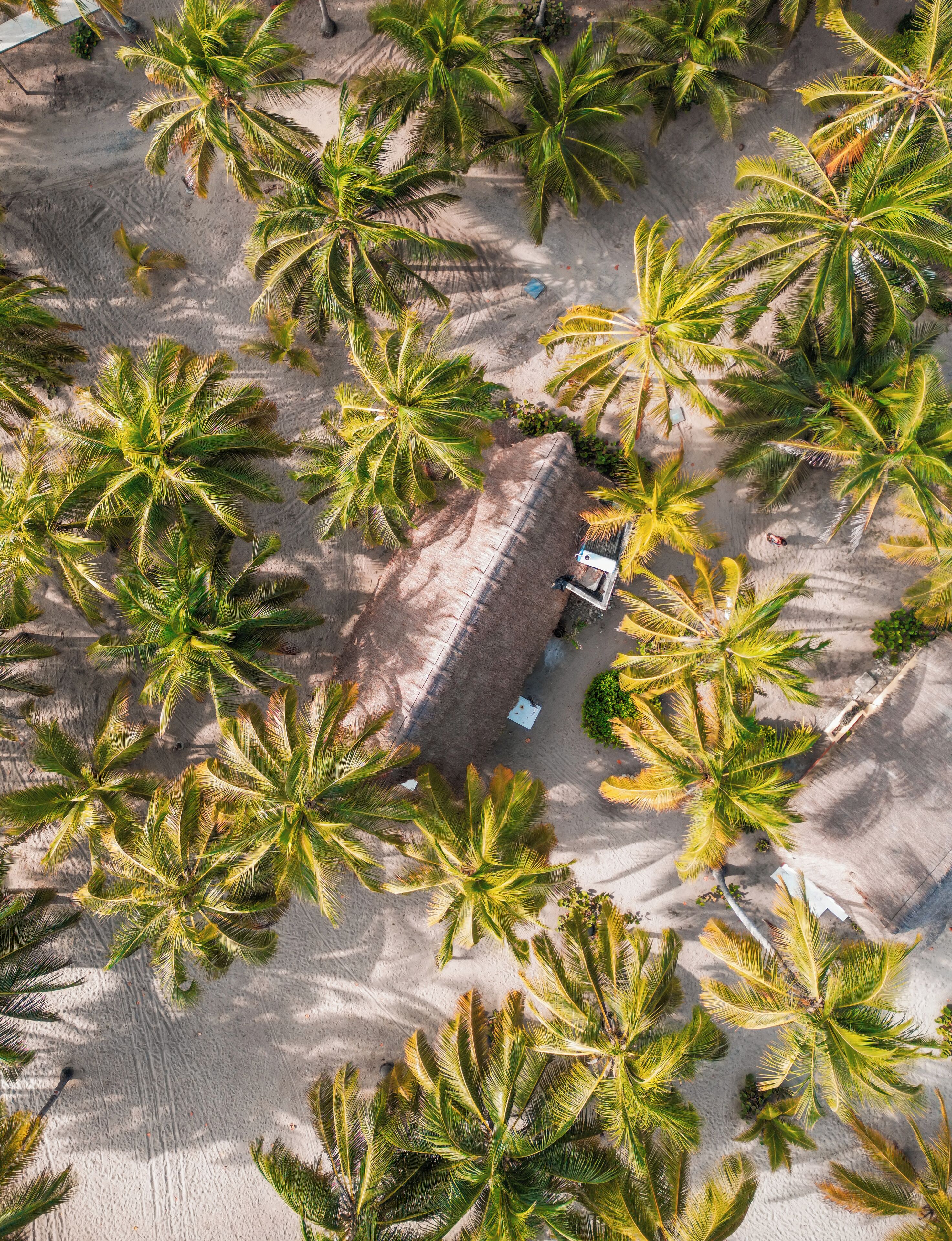 Deluxe Bungalow, 1 Bedroom, Non Smoking, Ocean View | Premium bedding, minibar, in-room safe, individually decorated