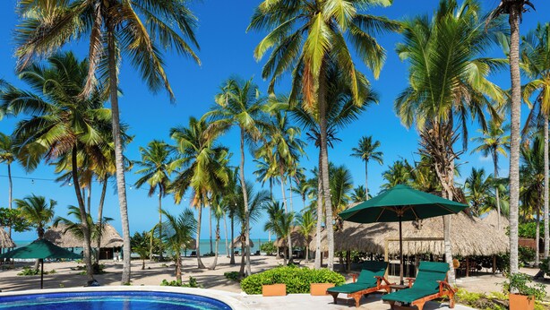 A poolside area with lounge chairs, a palm tree-lined beach, and a clear blue sky. - Aite Hotel (Dibulla)
