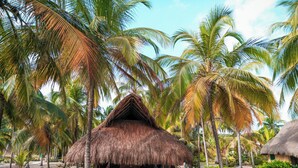 A thatched-roof hut with a wooden table and chairs, surrounded by palm trees and a sandy ground. - Aite Hotel (Dibulla)