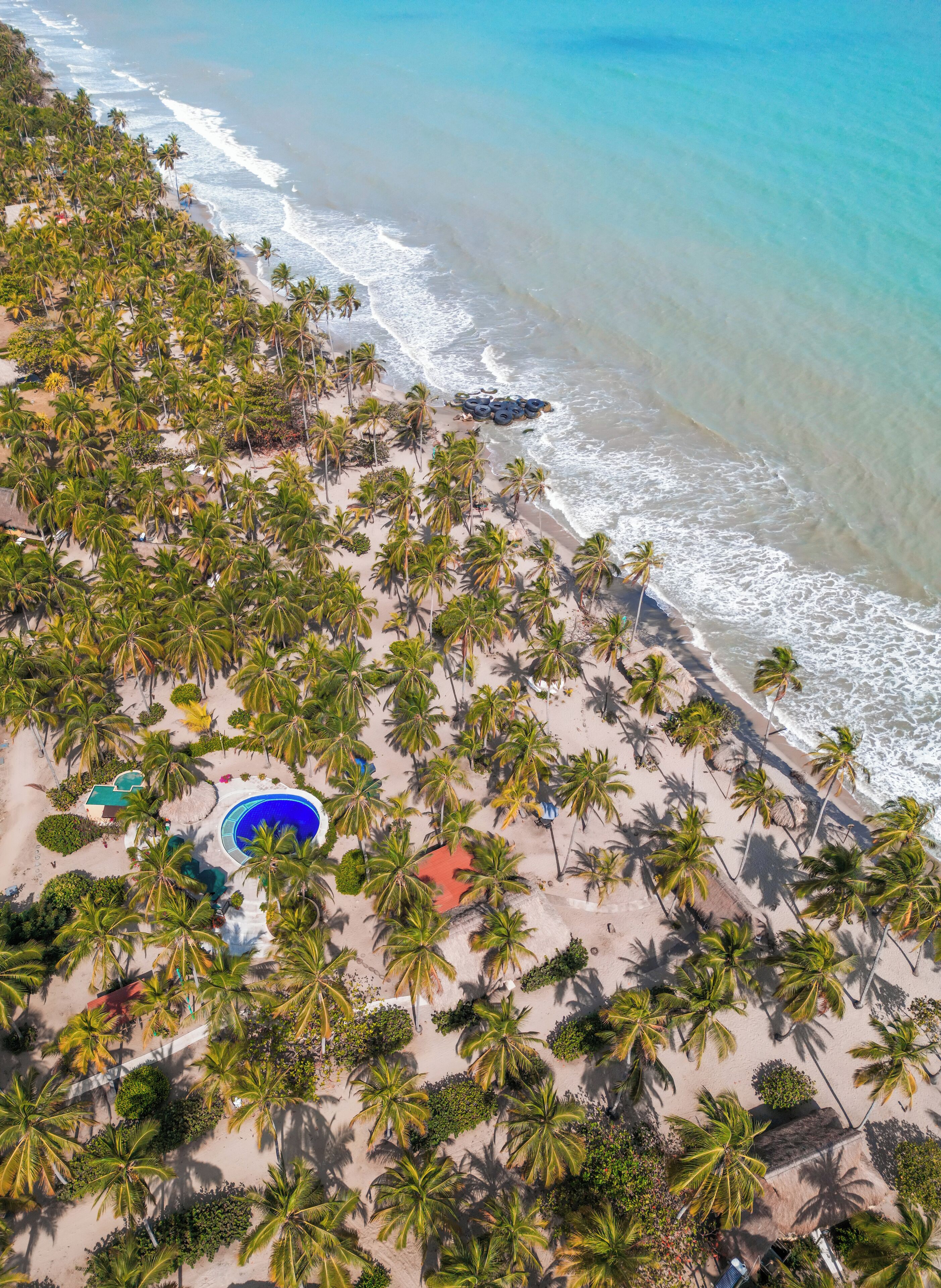 An aerial view of a beach with palm trees, a pool, and a thatched-roof structure.