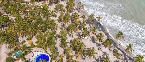 An aerial view of a beach with palm trees, a pool, and a thatched-roof structure.