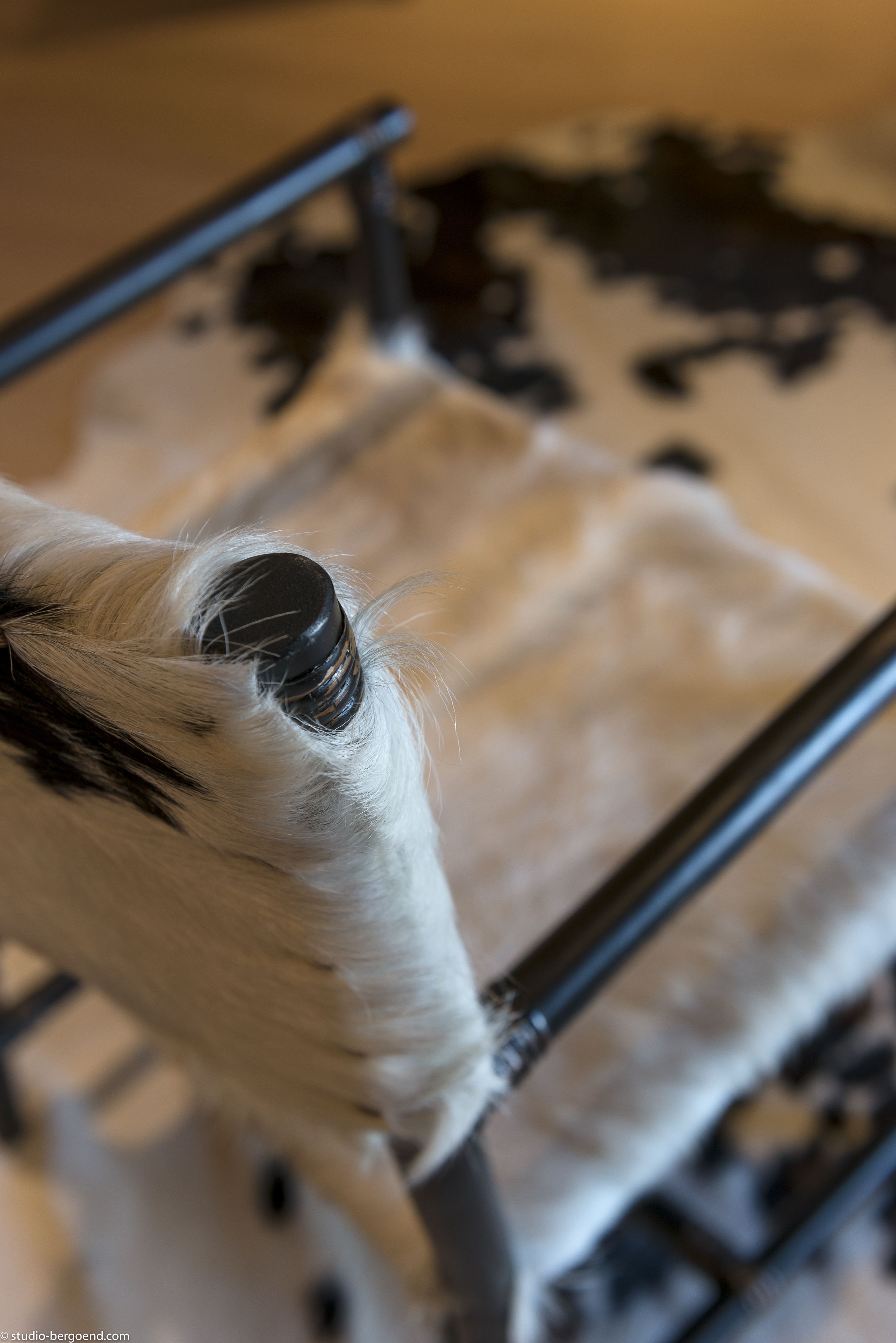 suite duo 2 persons | room amenity