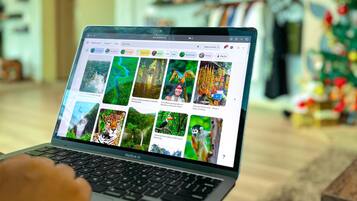 A laptop displaying a webpage with various wildlife images.