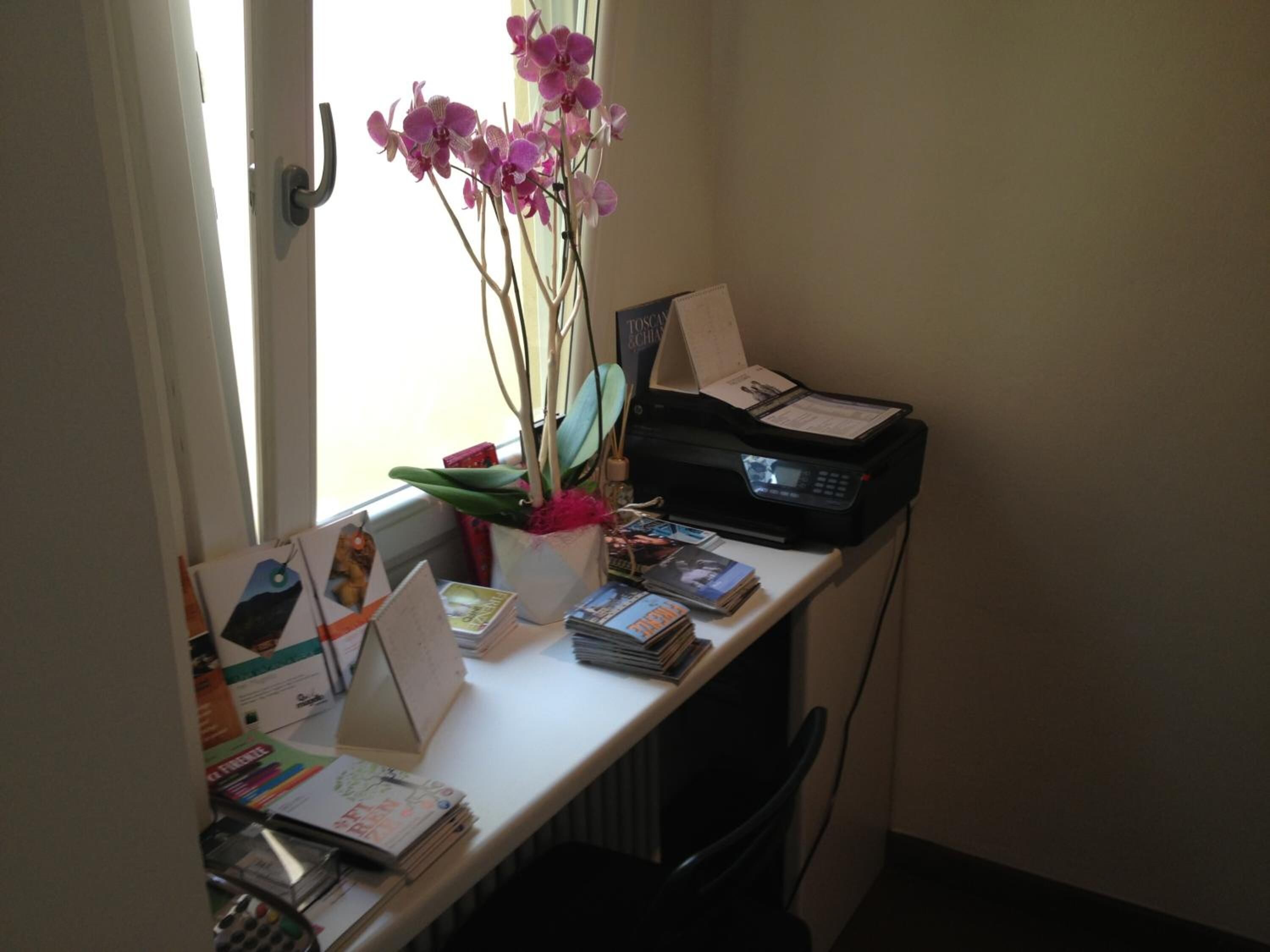 Foto - Le Ghiacciaie