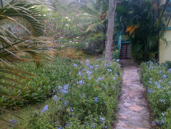 Unclassified image, 1 of 40, button - Starlit Escape Villa (St. John)