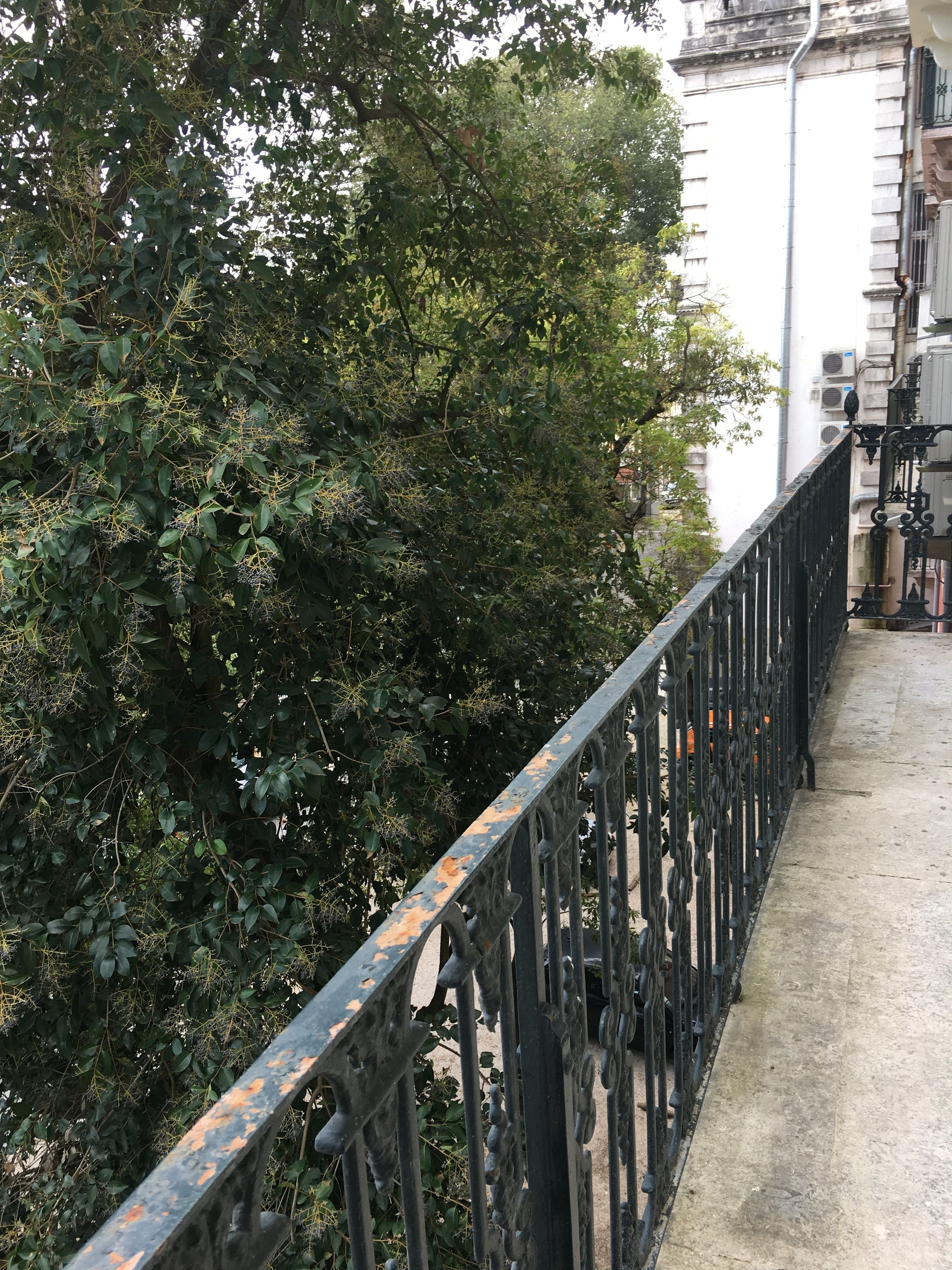 Foto - Casa do Principe