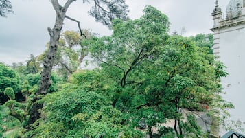 Vista al jardín