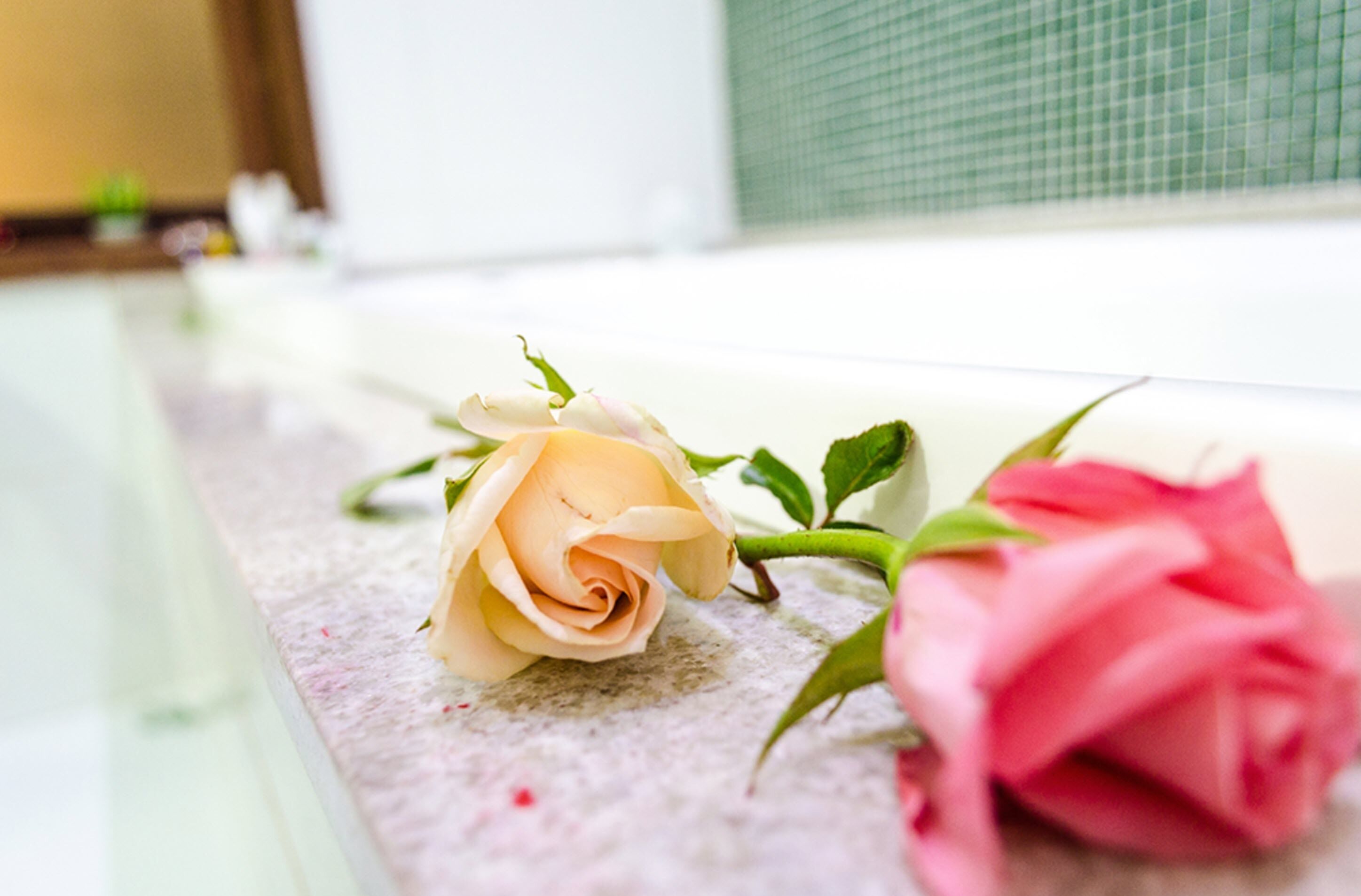 deluxe room | room amenity