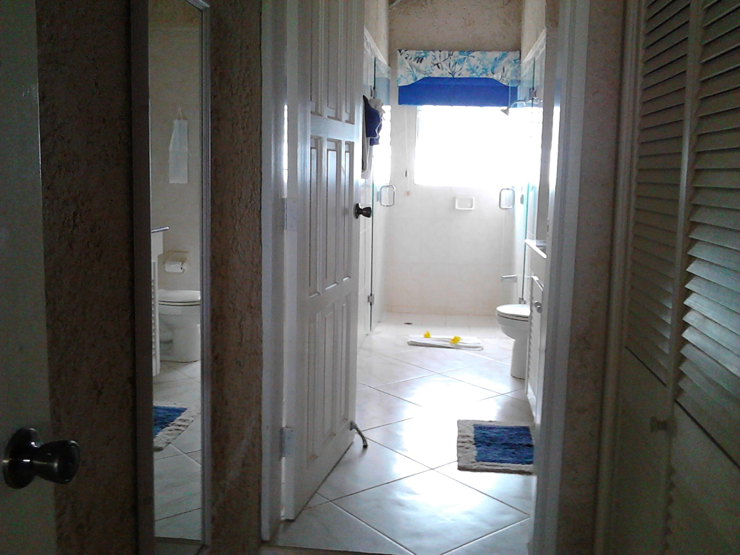 A bathroom with a toilet, shower, and a towel rack.