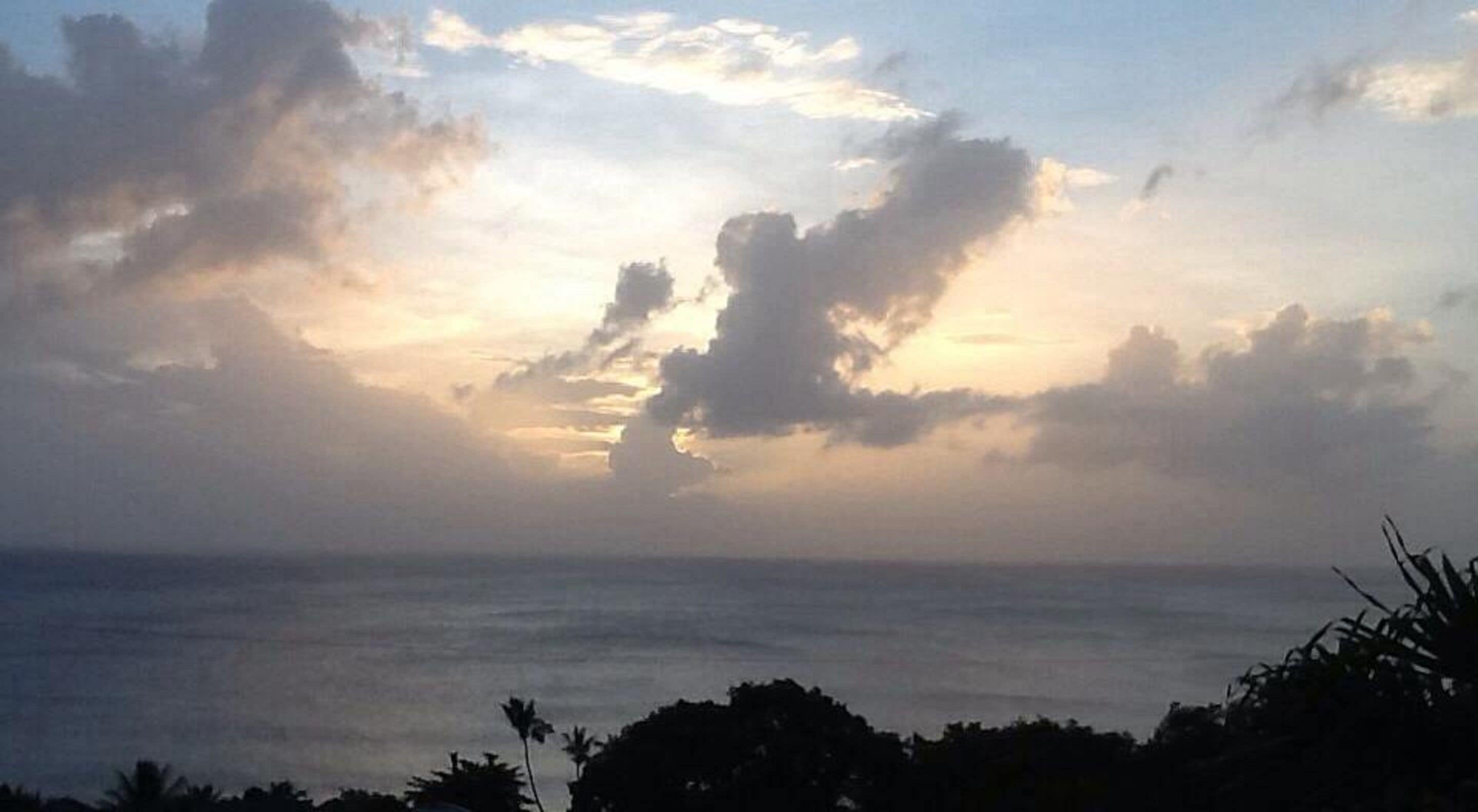 Un paysage côtier offrant une vue sur l’océan, avec une silhouette de végétation au premier plan.