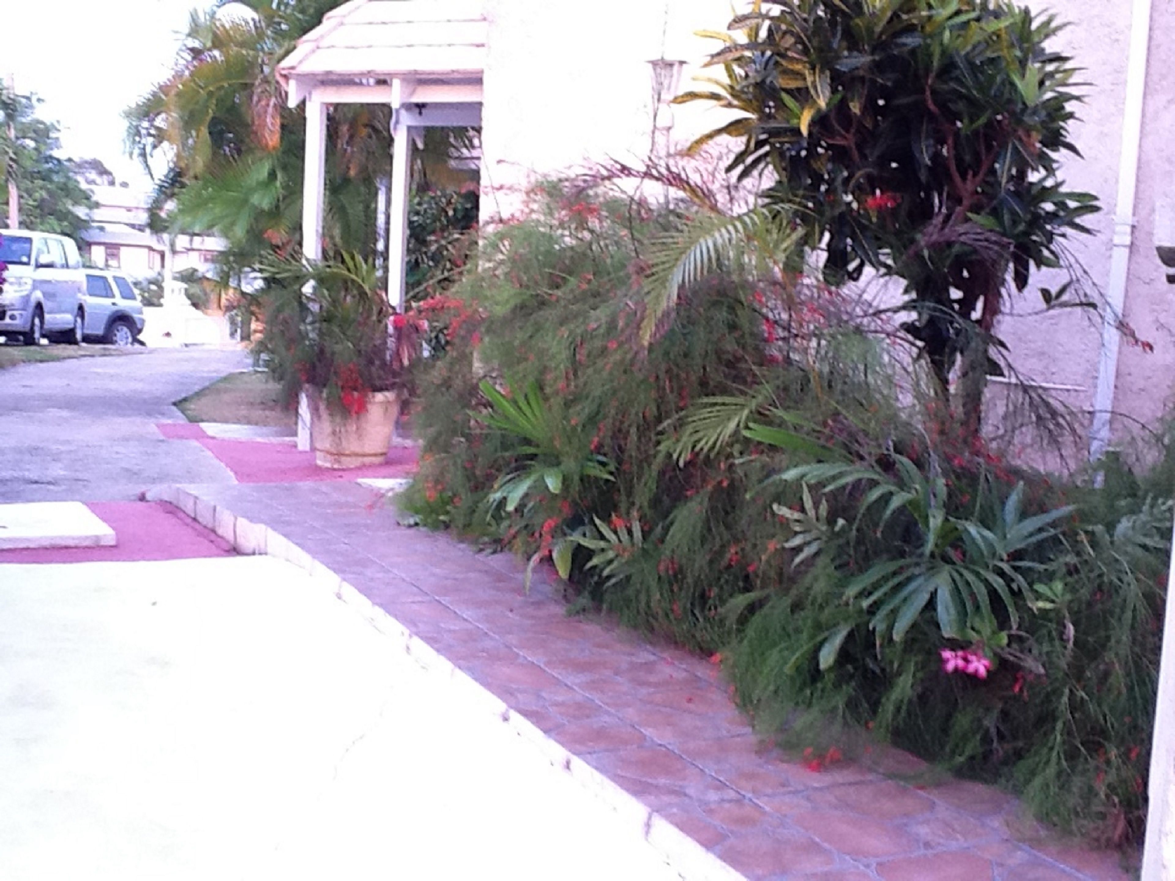 Un sendero pavimentado con plantas en macetas y un pabellón.
