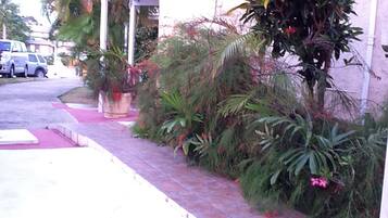 Un sendero pavimentado con plantas en macetas y un pabellón.