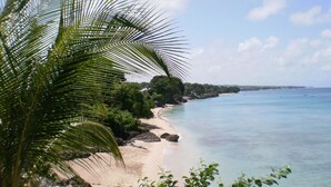 Ein Strand mit klarem türkisblauem Wasser, sandigem Ufer und üppiger Vegetation.