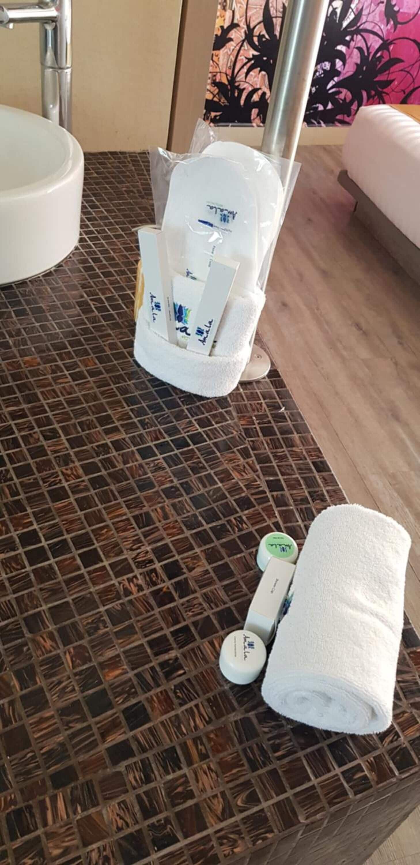 shiva suite with king bed and premium jacuzzi | bathroom | shower, free toiletries, hair dryer, towels