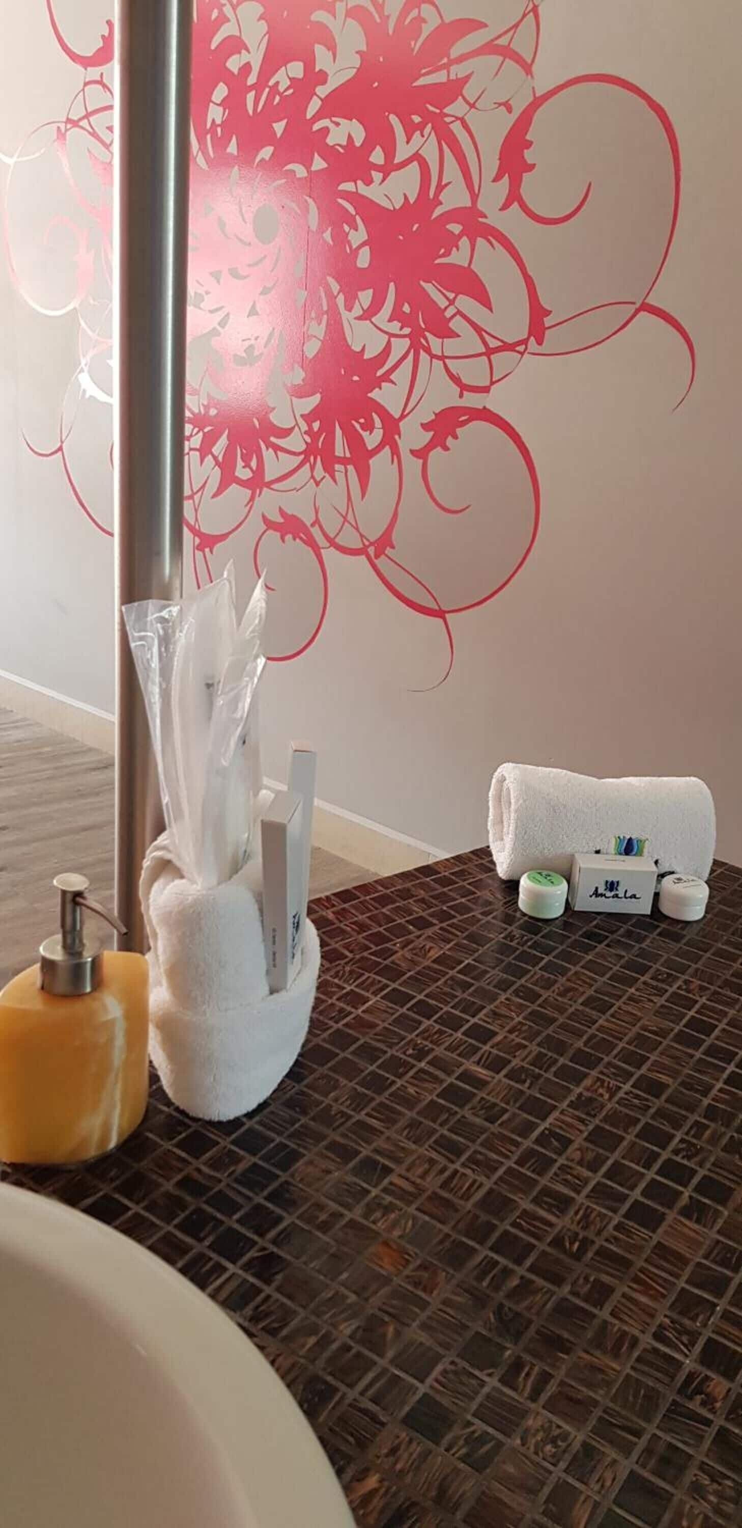 standard room | bathroom | shower, free toiletries, hair dryer, towels