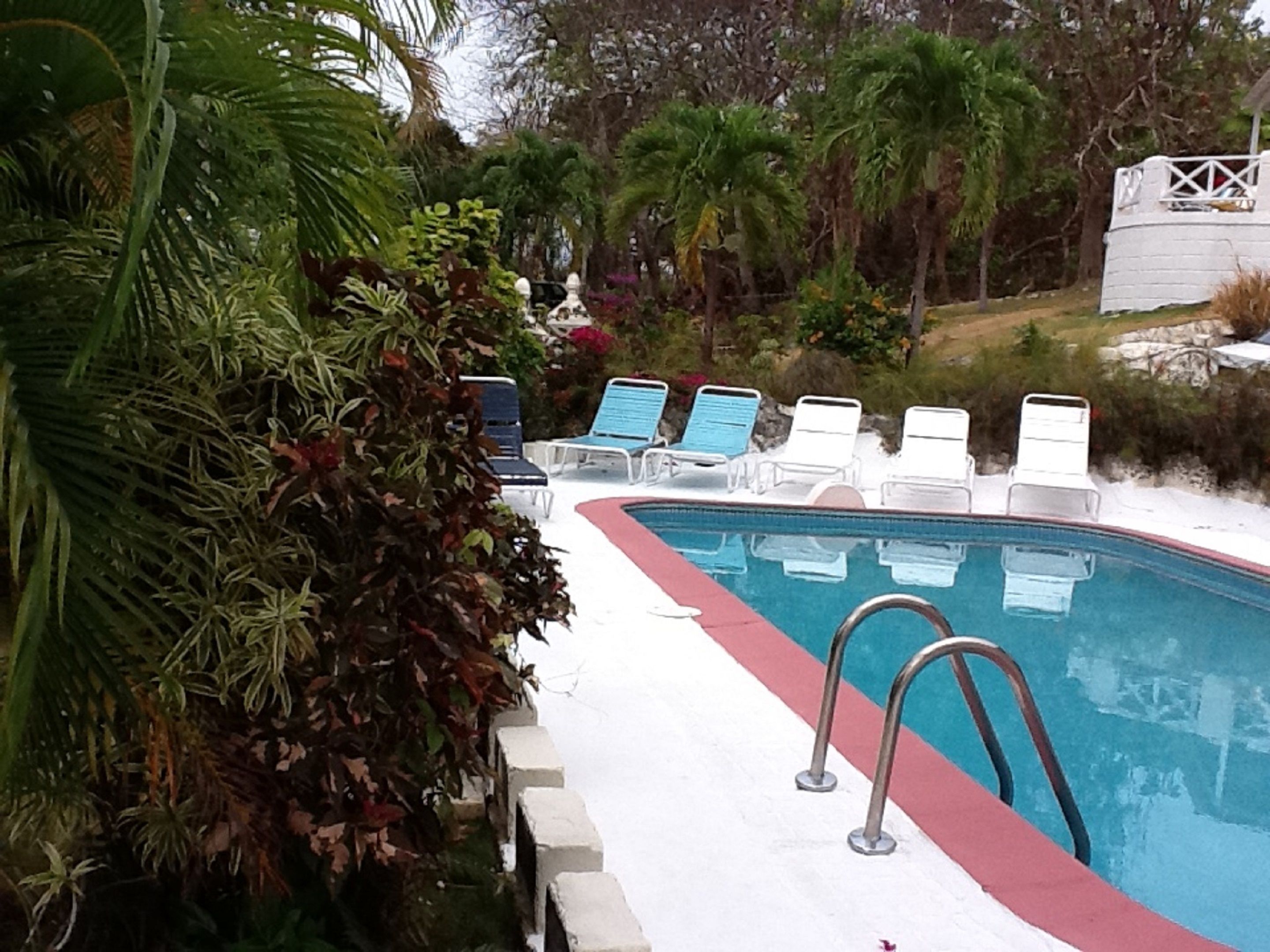 Ein Swimmingpool mit Liegestühlen, umgeben von tropischen Pflanzen und einem weißen Zaun.